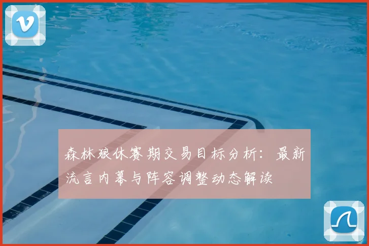 森林狼休赛期交易目标分析：最新流言内幕与阵容调整动态解读
