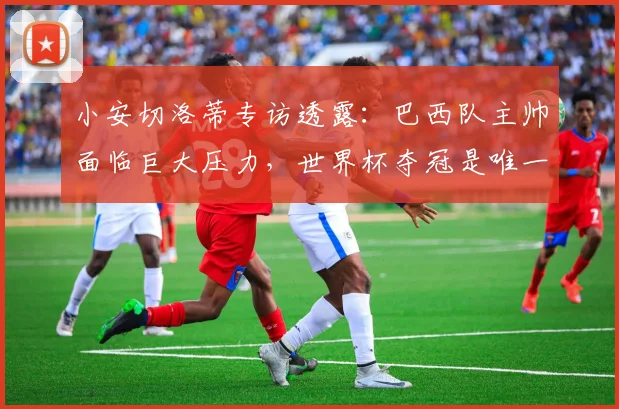 小安切洛蒂专访透露：巴西队主帅面临巨大压力，世界杯夺冠是唯一出路
